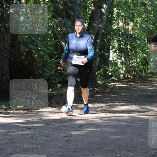 28.09.2025 - 33. Volkslauf durch das schöne Alstertal Strokosch-Dieckow http://msf.ph/oto/8970668 28.09.2025 11:56:53 Laufen 336, 1660 meine-sportfotos.de