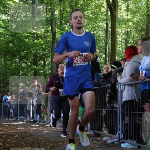28.09.2025 - 33. Volkslauf durch das schöne Alstertal Strokosch-Dieckow http://msf.ph/oto/8970669 28.09.2025 11:51:56 Ziel 2651, 3137 meine-sportfotos.de