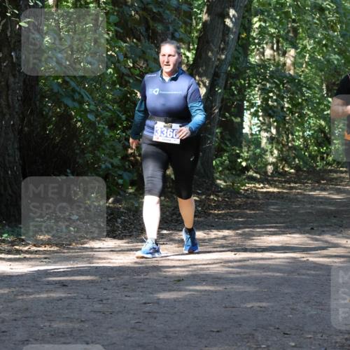 28.09.2025 - 33. Volkslauf durch das schöne Alstertal Strokosch-Dieckow http://msf.ph/oto/8970670 28.09.2025 11:56:53 Laufen 3360, 1660, 102 meine-sportfotos.de