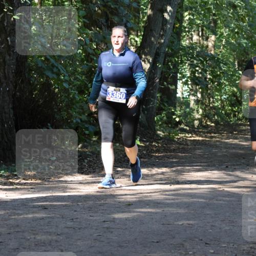 28.09.2025 - 33. Volkslauf durch das schöne Alstertal Strokosch-Dieckow http://msf.ph/oto/8970671 28.09.2025 11:56:53 Laufen 3360, 1660, 1024 meine-sportfotos.de