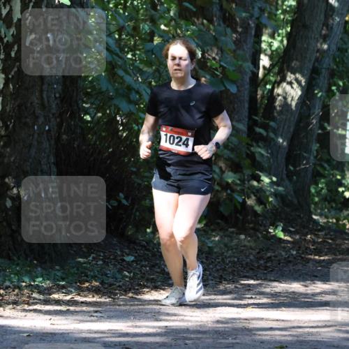 28.09.2025 - 33. Volkslauf durch das schöne Alstertal Strokosch-Dieckow http://msf.ph/oto/8970678 28.09.2025 11:57:01 Laufen 1024 meine-sportfotos.de
