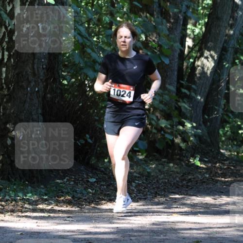 28.09.2025 - 33. Volkslauf durch das schöne Alstertal Strokosch-Dieckow http://msf.ph/oto/8970679 28.09.2025 11:57:01 Laufen 1024 meine-sportfotos.de