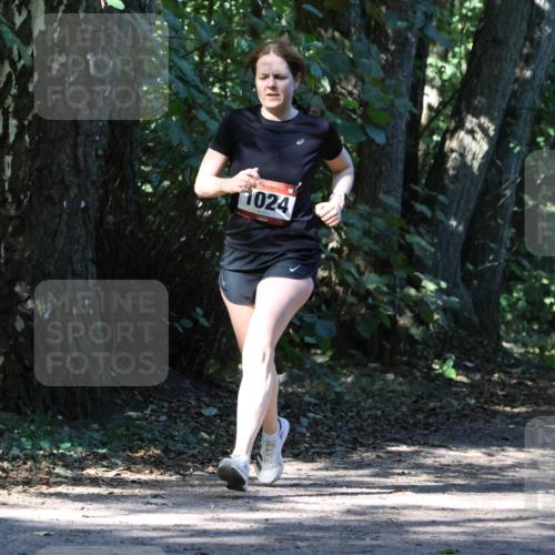 28.09.2025 - 33. Volkslauf durch das schöne Alstertal Strokosch-Dieckow http://msf.ph/oto/8970680 28.09.2025 11:57:01 Laufen 1024 meine-sportfotos.de