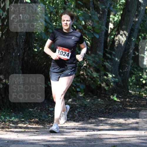 28.09.2025 - 33. Volkslauf durch das schöne Alstertal Strokosch-Dieckow http://msf.ph/oto/8970681 28.09.2025 11:57:01 Laufen 1024 meine-sportfotos.de