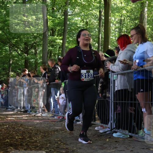 28.09.2025 - 33. Volkslauf durch das schöne Alstertal Strokosch-Dieckow http://msf.ph/oto/8970684 28.09.2025 11:51:57 Ziel 2651, 3137 meine-sportfotos.de