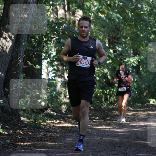 28.09.2025 - 33. Volkslauf durch das schöne Alstertal Strokosch-Dieckow http://msf.ph/oto/8970688 28.09.2025 11:57:08 Laufen 2460 meine-sportfotos.de