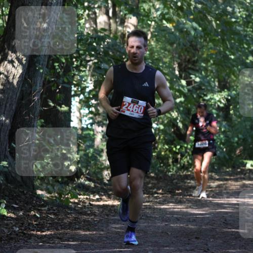 28.09.2025 - 33. Volkslauf durch das schöne Alstertal Strokosch-Dieckow http://msf.ph/oto/8970689 28.09.2025 11:57:08 Laufen 2460, 1026 meine-sportfotos.de