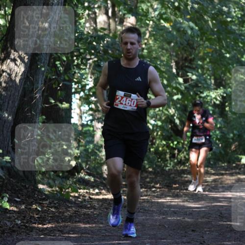 28.09.2025 - 33. Volkslauf durch das schöne Alstertal Strokosch-Dieckow http://msf.ph/oto/8970690 28.09.2025 11:57:08 Laufen 2460, 1826 meine-sportfotos.de