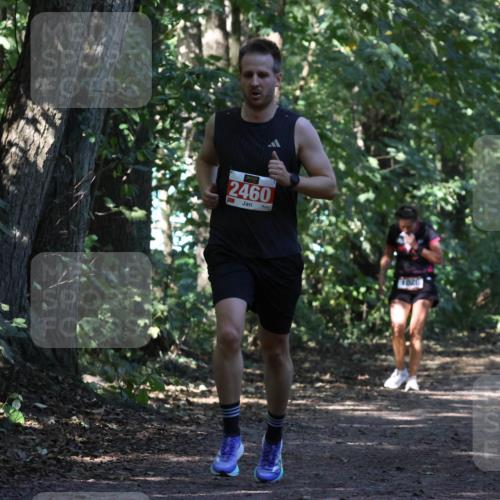 28.09.2025 - 33. Volkslauf durch das schöne Alstertal Strokosch-Dieckow http://msf.ph/oto/8970691 28.09.2025 11:57:08 Laufen 2460 meine-sportfotos.de