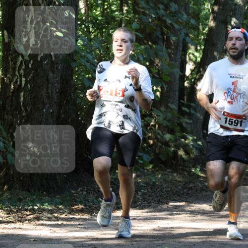 28.09.2025 - 33. Volkslauf durch das schöne Alstertal Strokosch-Dieckow http://msf.ph/oto/8970697 28.09.2025 11:57:34 Laufen 2515, 1591 meine-sportfotos.de