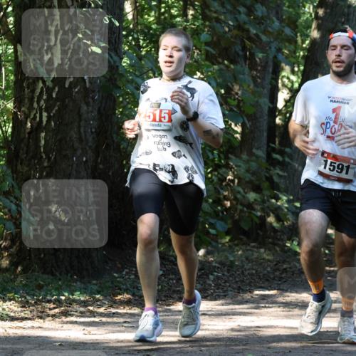 28.09.2025 - 33. Volkslauf durch das schöne Alstertal Strokosch-Dieckow http://msf.ph/oto/8970698 28.09.2025 11:57:34 Laufen 2515, 1591 meine-sportfotos.de