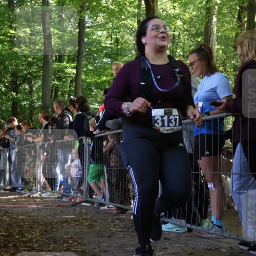 28.09.2025 - 33. Volkslauf durch das schöne Alstertal Strokosch-Dieckow http://msf.ph/oto/8970699 28.09.2025 11:51:57 Ziel 2651, 3137 meine-sportfotos.de