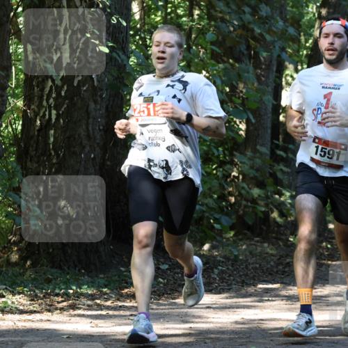 28.09.2025 - 33. Volkslauf durch das schöne Alstertal Strokosch-Dieckow http://msf.ph/oto/8970700 28.09.2025 11:57:34 Laufen 251, 1591 meine-sportfotos.de