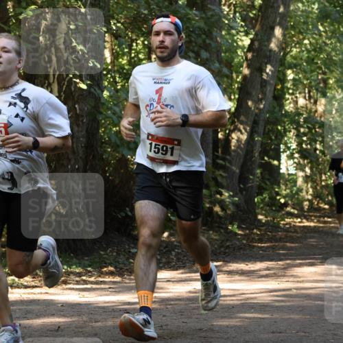 28.09.2025 - 33. Volkslauf durch das schöne Alstertal Strokosch-Dieckow http://msf.ph/oto/8970701 28.09.2025 11:57:34 Laufen 2515, 1591, 1642 meine-sportfotos.de