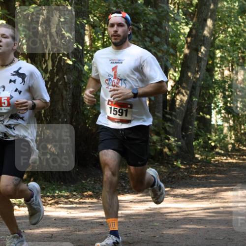 28.09.2025 - 33. Volkslauf durch das schöne Alstertal Strokosch-Dieckow http://msf.ph/oto/8970702 28.09.2025 11:57:35 Laufen 2515, 1591 meine-sportfotos.de