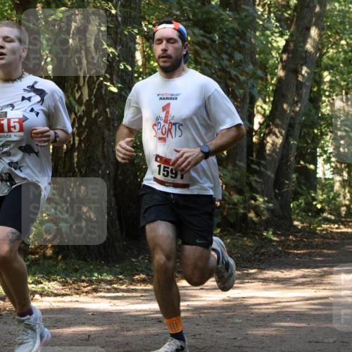 28.09.2025 - 33. Volkslauf durch das schöne Alstertal Strokosch-Dieckow http://msf.ph/oto/8970703 28.09.2025 11:57:35 Laufen 2515, 1597, 1642 meine-sportfotos.de