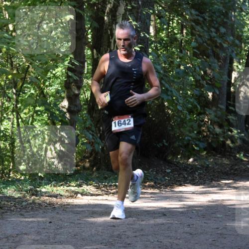 28.09.2025 - 33. Volkslauf durch das schöne Alstertal Strokosch-Dieckow http://msf.ph/oto/8970704 28.09.2025 11:57:39 Laufen 1642, 3353 meine-sportfotos.de