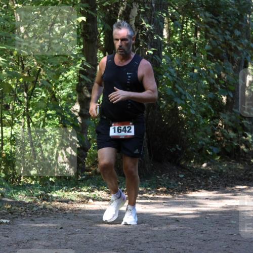 28.09.2025 - 33. Volkslauf durch das schöne Alstertal Strokosch-Dieckow http://msf.ph/oto/8970706 28.09.2025 11:57:39 Laufen 1642, 3353 meine-sportfotos.de