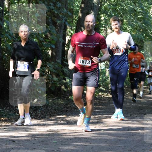28.09.2025 - 33. Volkslauf durch das schöne Alstertal Strokosch-Dieckow http://msf.ph/oto/8970709 28.09.2025 11:57:41 Laufen 2402, 1613, 1726, 1828 meine-sportfotos.de