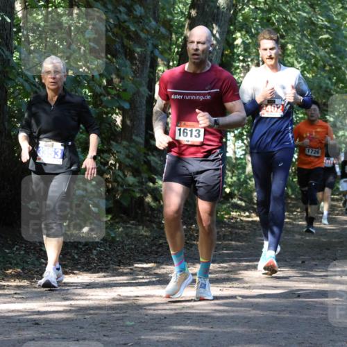 28.09.2025 - 33. Volkslauf durch das schöne Alstertal Strokosch-Dieckow http://msf.ph/oto/8970710 28.09.2025 11:57:42 Laufen 2402, 353, 1613, 1828, 1726 meine-sportfotos.de