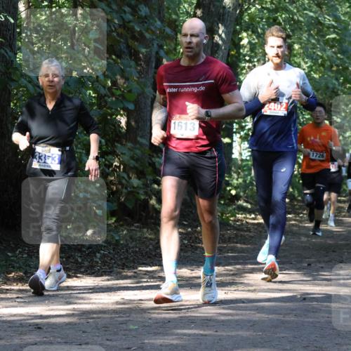 28.09.2025 - 33. Volkslauf durch das schöne Alstertal Strokosch-Dieckow http://msf.ph/oto/8970712 28.09.2025 11:57:42 Laufen 3353, 2402, 1613, 1726, 1828 meine-sportfotos.de