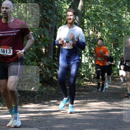 28.09.2025 - 33. Volkslauf durch das schöne Alstertal Strokosch-Dieckow http://msf.ph/oto/8970713 28.09.2025 11:57:43 Laufen 33, 2402, 1613, 1726, 1828 meine-sportfotos.de