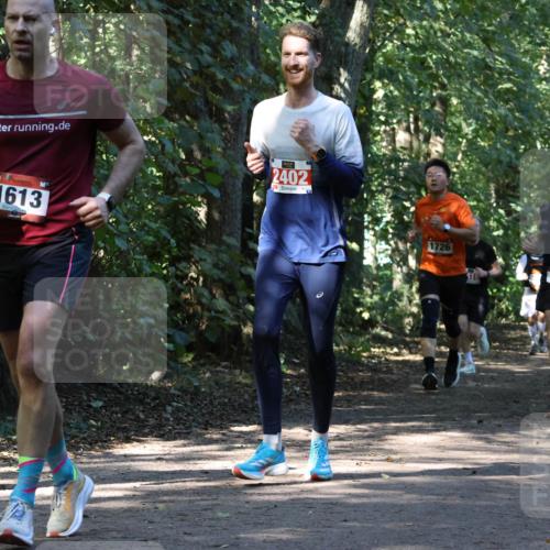 28.09.2025 - 33. Volkslauf durch das schöne Alstertal Strokosch-Dieckow http://msf.ph/oto/8970714 28.09.2025 11:57:43 Laufen 3353, 2402, 1613, 1726, 1828 meine-sportfotos.de