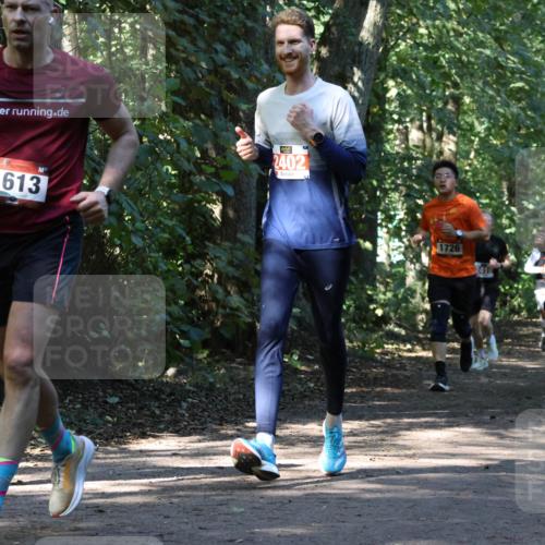 28.09.2025 - 33. Volkslauf durch das schöne Alstertal Strokosch-Dieckow http://msf.ph/oto/8970715 28.09.2025 11:57:43 Laufen 335, 1613, 2402, 1726, 1828 meine-sportfotos.de