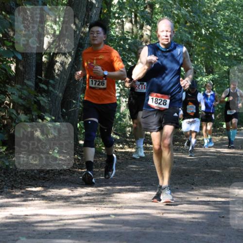 28.09.2025 - 33. Volkslauf durch das schöne Alstertal Strokosch-Dieckow http://msf.ph/oto/8970717 28.09.2025 11:57:44 Laufen 1726, 2419, 1828, 1661, 1661 meine-sportfotos.de