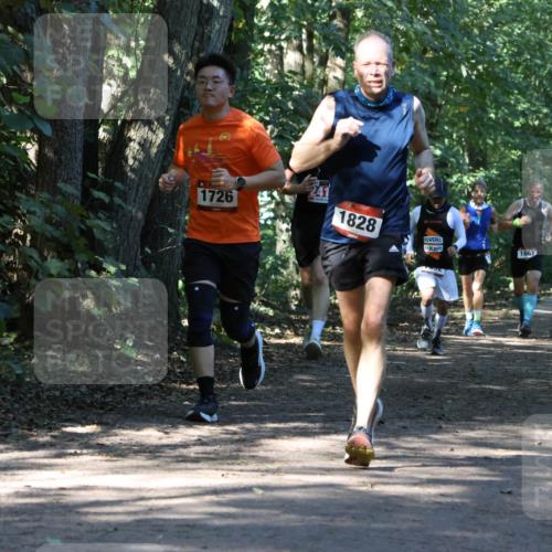 28.09.2025 - 33. Volkslauf durch das schöne Alstertal Strokosch-Dieckow http://msf.ph/oto/8970718 28.09.2025 11:57:44 Laufen 1726, 241, 1828, 1661, 1651 meine-sportfotos.de