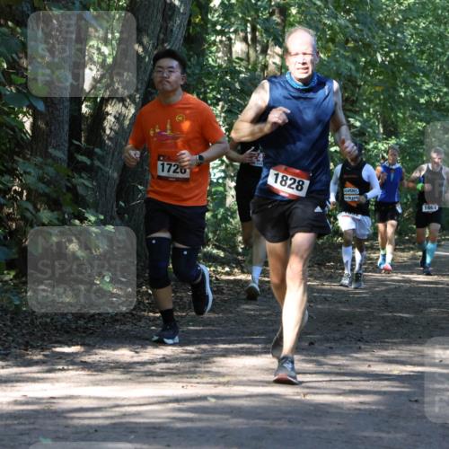 28.09.2025 - 33. Volkslauf durch das schöne Alstertal Strokosch-Dieckow http://msf.ph/oto/8970719 28.09.2025 11:57:44 Laufen 1828, 1726, 1661, 1651 meine-sportfotos.de