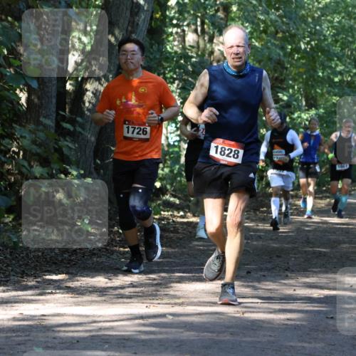 28.09.2025 - 33. Volkslauf durch das schöne Alstertal Strokosch-Dieckow http://msf.ph/oto/8970720 28.09.2025 11:57:44 Laufen 1726, 1828, 1661 meine-sportfotos.de