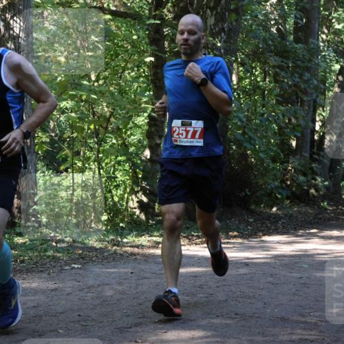 28.09.2025 - 33. Volkslauf durch das schöne Alstertal Strokosch-Dieckow http://msf.ph/oto/8970733 28.09.2025 11:57:56 Laufen 1661, 2577, 1651 meine-sportfotos.de