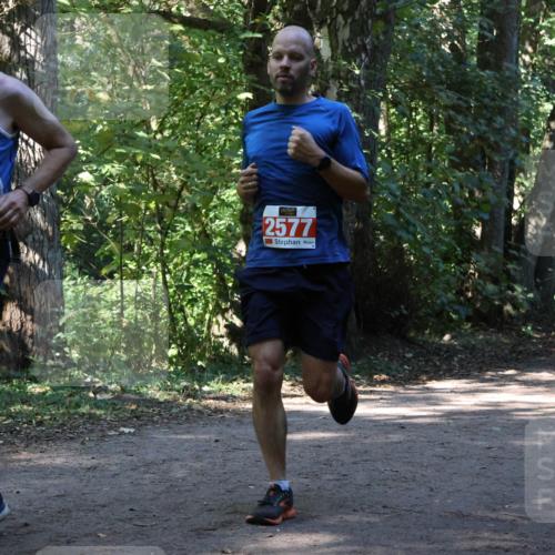 28.09.2025 - 33. Volkslauf durch das schöne Alstertal Strokosch-Dieckow http://msf.ph/oto/8970735 28.09.2025 11:57:56 Laufen 1667, 2577, 1651 meine-sportfotos.de