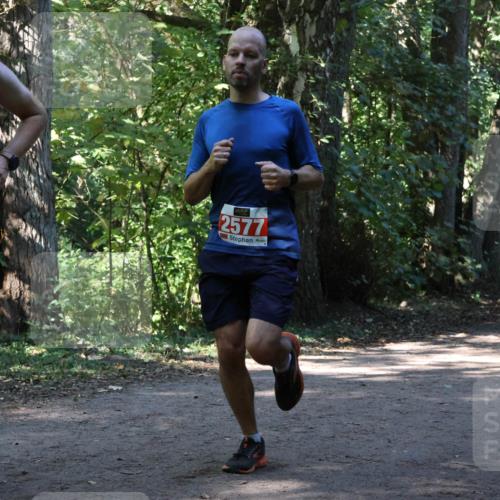 28.09.2025 - 33. Volkslauf durch das schöne Alstertal Strokosch-Dieckow http://msf.ph/oto/8970736 28.09.2025 11:57:56 Laufen 1667, 2577, 1651 meine-sportfotos.de