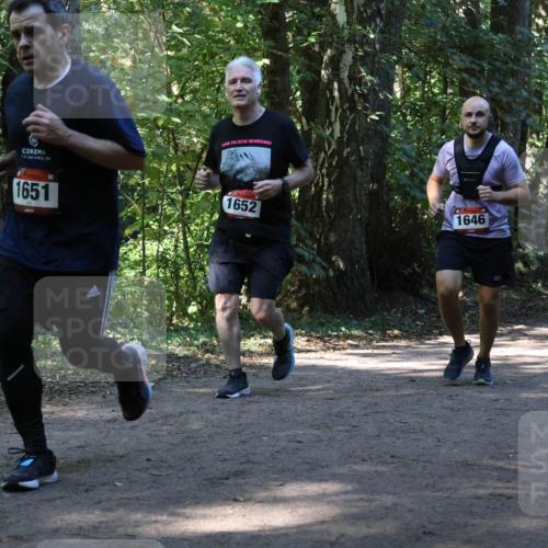 28.09.2025 - 33. Volkslauf durch das schöne Alstertal Strokosch-Dieckow http://msf.ph/oto/8970742 28.09.2025 11:58:01 Laufen 1651, 1652, 1646 meine-sportfotos.de
