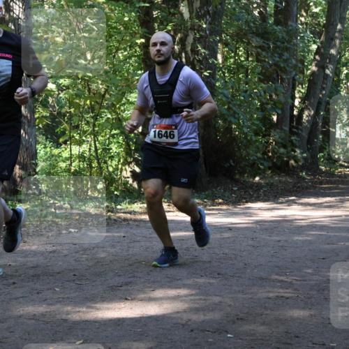 28.09.2025 - 33. Volkslauf durch das schöne Alstertal Strokosch-Dieckow http://msf.ph/oto/8970745 28.09.2025 11:58:02 Laufen 1652, 1646 meine-sportfotos.de
