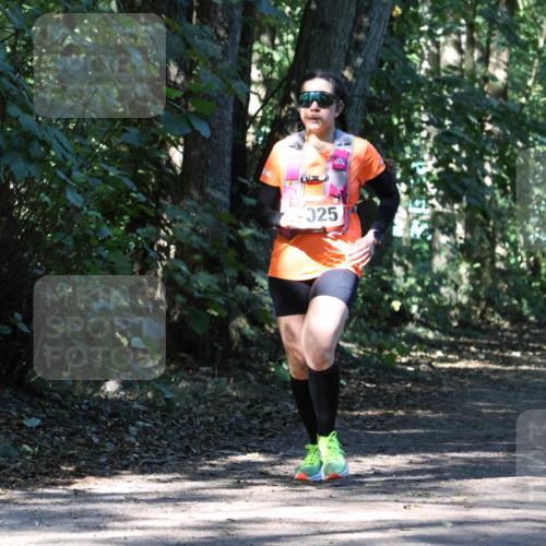28.09.2025 - 33. Volkslauf durch das schöne Alstertal Strokosch-Dieckow http://msf.ph/oto/8970749 28.09.2025 11:58:31 Laufen 025 meine-sportfotos.de