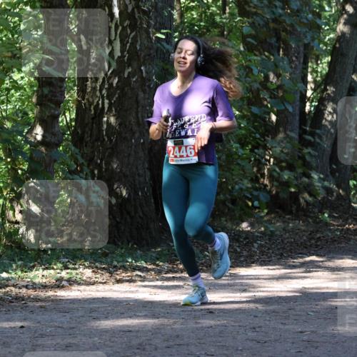 28.09.2025 - 33. Volkslauf durch das schöne Alstertal Strokosch-Dieckow http://msf.ph/oto/8970758 28.09.2025 11:58:58 Laufen 2446 meine-sportfotos.de