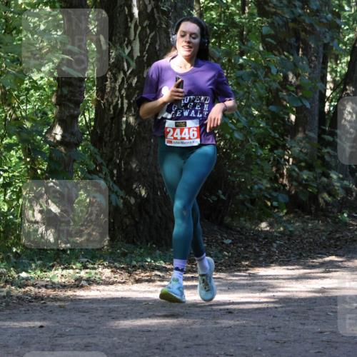 28.09.2025 - 33. Volkslauf durch das schöne Alstertal Strokosch-Dieckow http://msf.ph/oto/8970761 28.09.2025 11:58:58 Laufen 2446 meine-sportfotos.de