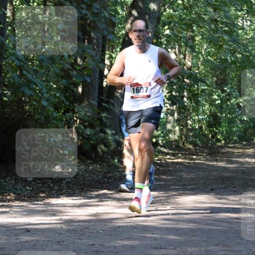 28.09.2025 - 33. Volkslauf durch das schöne Alstertal Strokosch-Dieckow http://msf.ph/oto/8970764 28.09.2025 11:59:05 Laufen 1657, 703 meine-sportfotos.de