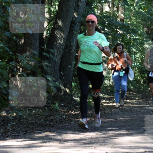 28.09.2025 - 33. Volkslauf durch das schöne Alstertal Strokosch-Dieckow http://msf.ph/oto/8970771 28.09.2025 11:59:39 Laufen 102, 1035 meine-sportfotos.de