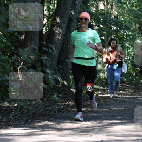 28.09.2025 - 33. Volkslauf durch das schöne Alstertal Strokosch-Dieckow http://msf.ph/oto/8970772 28.09.2025 11:59:39 Laufen 102, 1035 meine-sportfotos.de