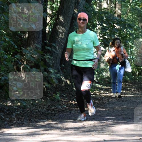 28.09.2025 - 33. Volkslauf durch das schöne Alstertal Strokosch-Dieckow http://msf.ph/oto/8970774 28.09.2025 11:59:39 Laufen 28, 1035 meine-sportfotos.de