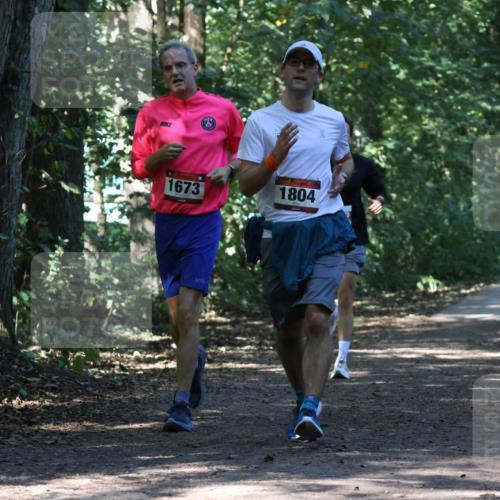 28.09.2025 - 33. Volkslauf durch das schöne Alstertal Strokosch-Dieckow http://msf.ph/oto/8970788 28.09.2025 12:00:08 Laufen 1673, 1804 meine-sportfotos.de