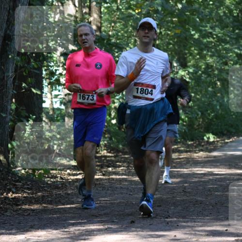 28.09.2025 - 33. Volkslauf durch das schöne Alstertal Strokosch-Dieckow http://msf.ph/oto/8970789 28.09.2025 12:00:08 Laufen 1673, 1804 meine-sportfotos.de