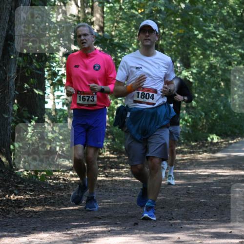 28.09.2025 - 33. Volkslauf durch das schöne Alstertal Strokosch-Dieckow http://msf.ph/oto/8970790 28.09.2025 12:00:08 Laufen 1673, 1804 meine-sportfotos.de