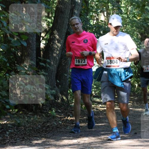 28.09.2025 - 33. Volkslauf durch das schöne Alstertal Strokosch-Dieckow http://msf.ph/oto/8970791 28.09.2025 12:00:09 Laufen 1673, 1804, 2612 meine-sportfotos.de
