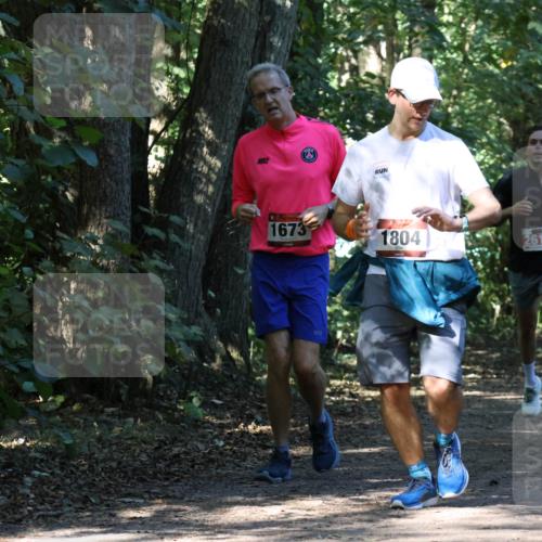 28.09.2025 - 33. Volkslauf durch das schöne Alstertal Strokosch-Dieckow http://msf.ph/oto/8970792 28.09.2025 12:00:09 Laufen 1673, 1804, 2612 meine-sportfotos.de