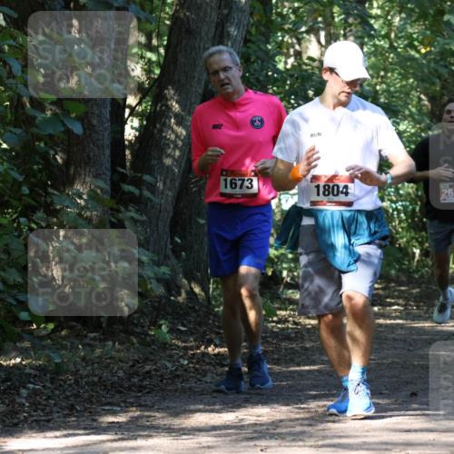 28.09.2025 - 33. Volkslauf durch das schöne Alstertal Strokosch-Dieckow http://msf.ph/oto/8970793 28.09.2025 12:00:09 Laufen 1673, 1804, 2612 meine-sportfotos.de